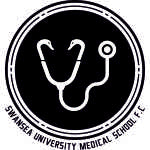 Swansea University Medical School FC