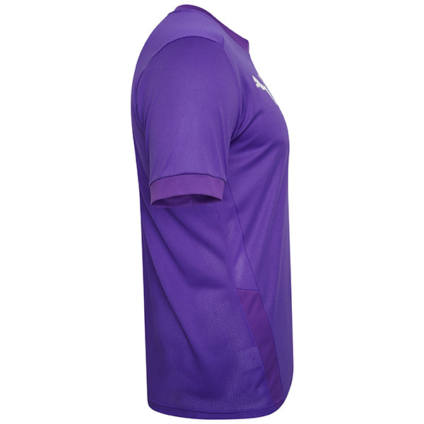 Puma Goal Football Shirt (Prism Violet/Tillsandia Purple)