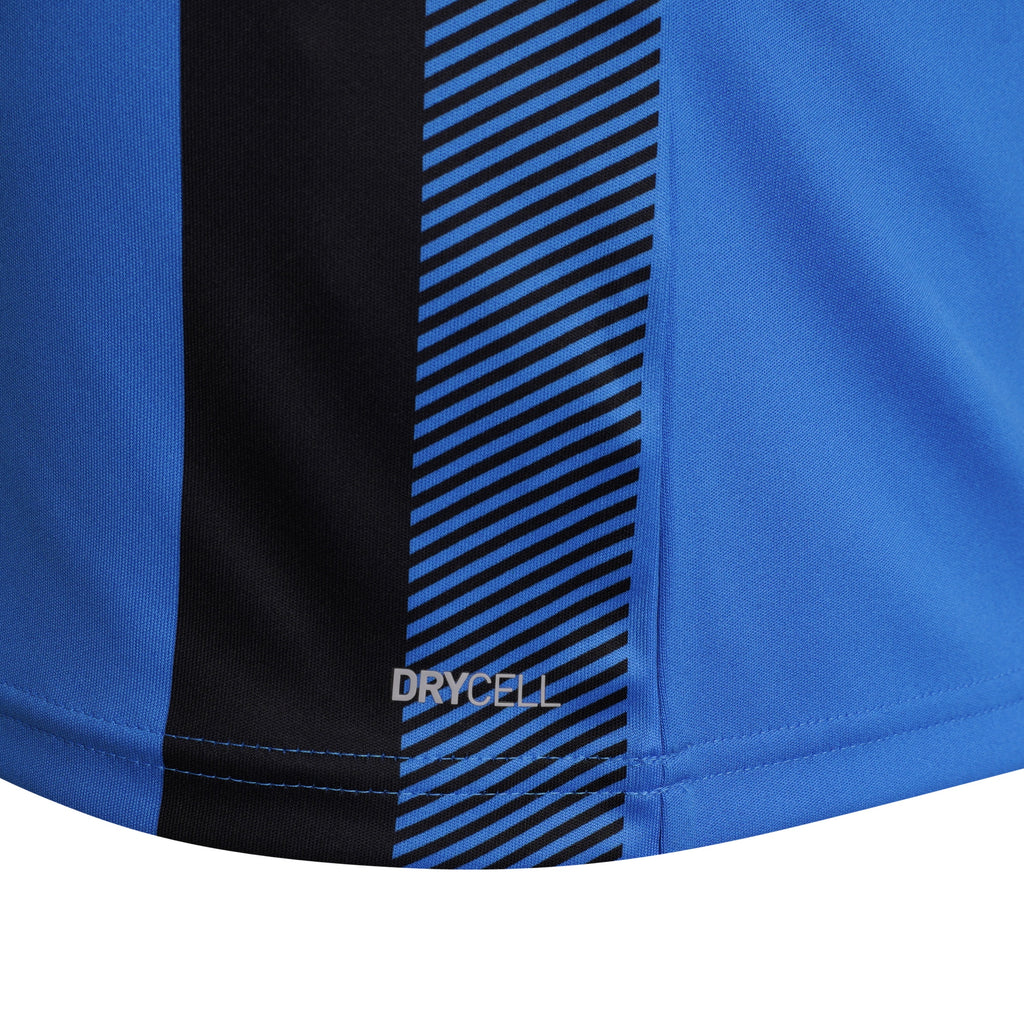Puma Team Liga Striped Football Shirt (Royal/Black)
