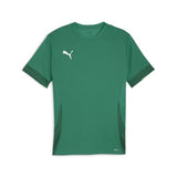 Puma Team Goal Football Shirt (Sport Green/Puma White/Power Green)
