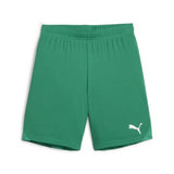 Puma TeamGOAL Football Short (Sport Green/White)