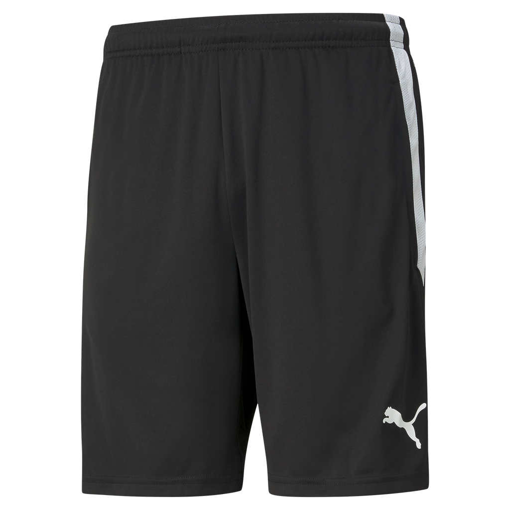 Puma Team Liga Training Shorts (Black)
