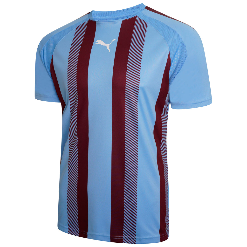 Puma Team Liga Striped Football Shirt (Team Light Blue/Cordovan)