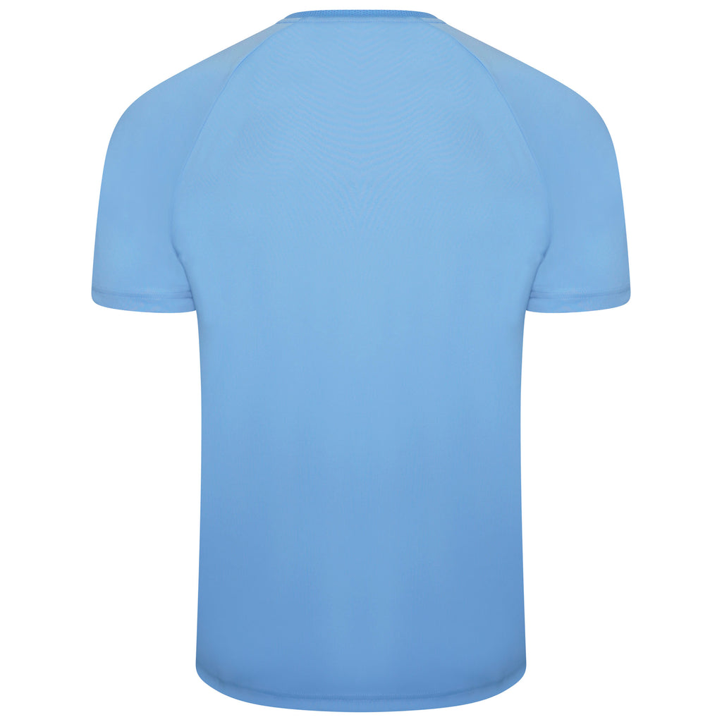 Puma Team Liga Striped Football Shirt (Team Light Blue/Cordovan)
