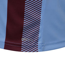 Load image into Gallery viewer, Puma Team Liga Striped Football Shirt (Team Light Blue/Cordovan)