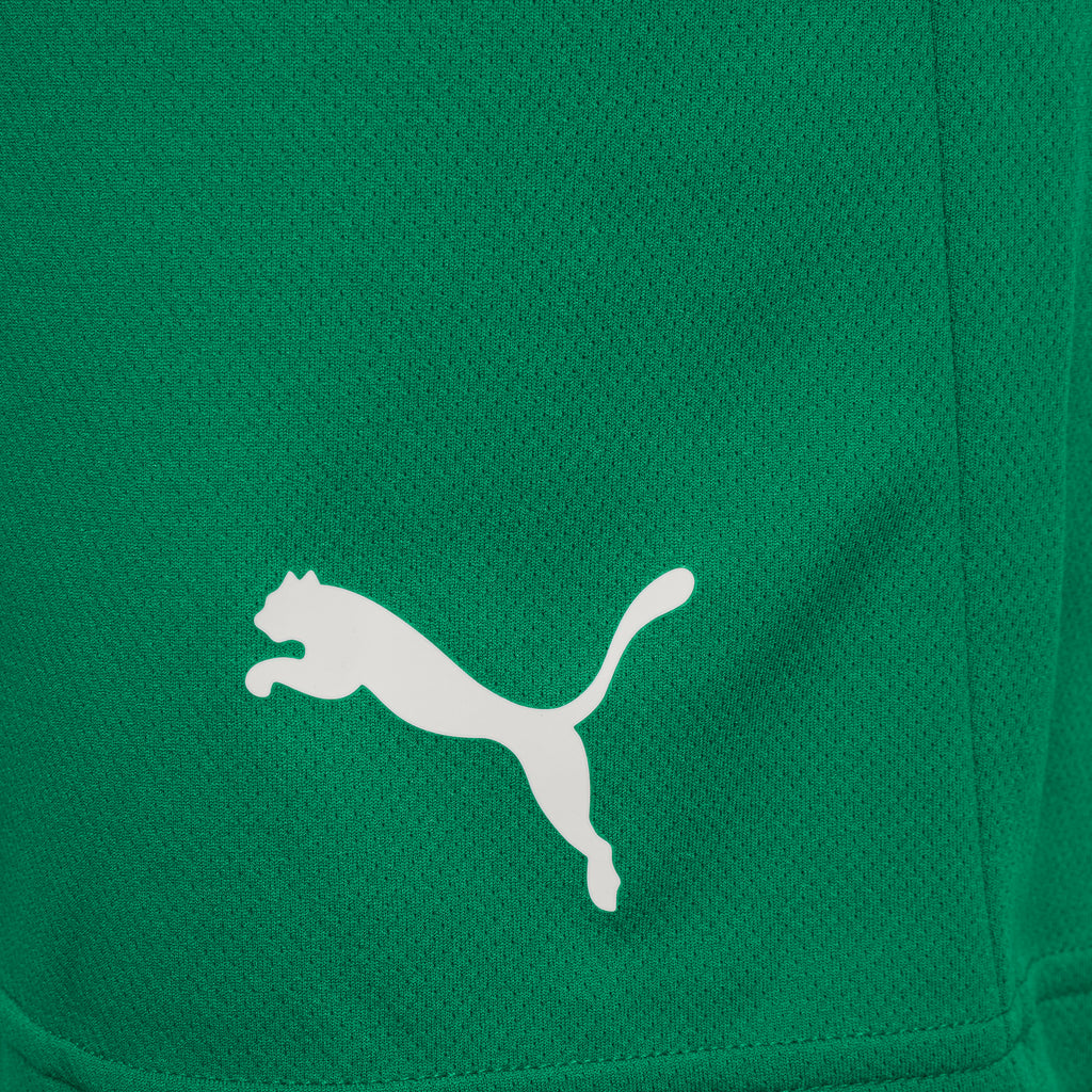 Puma Team Rise Football Short (Pepper Green/White)